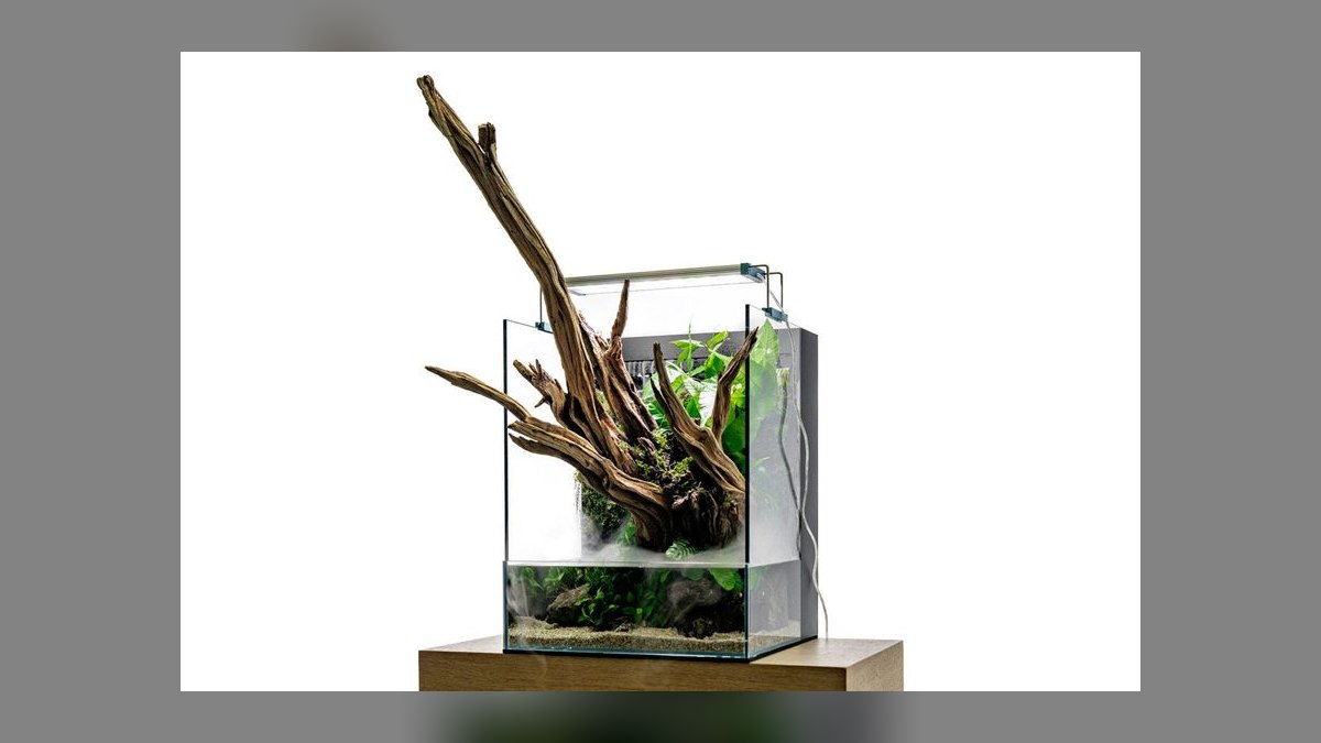 Top 10 nature aquarium styles 2027 — figure 5