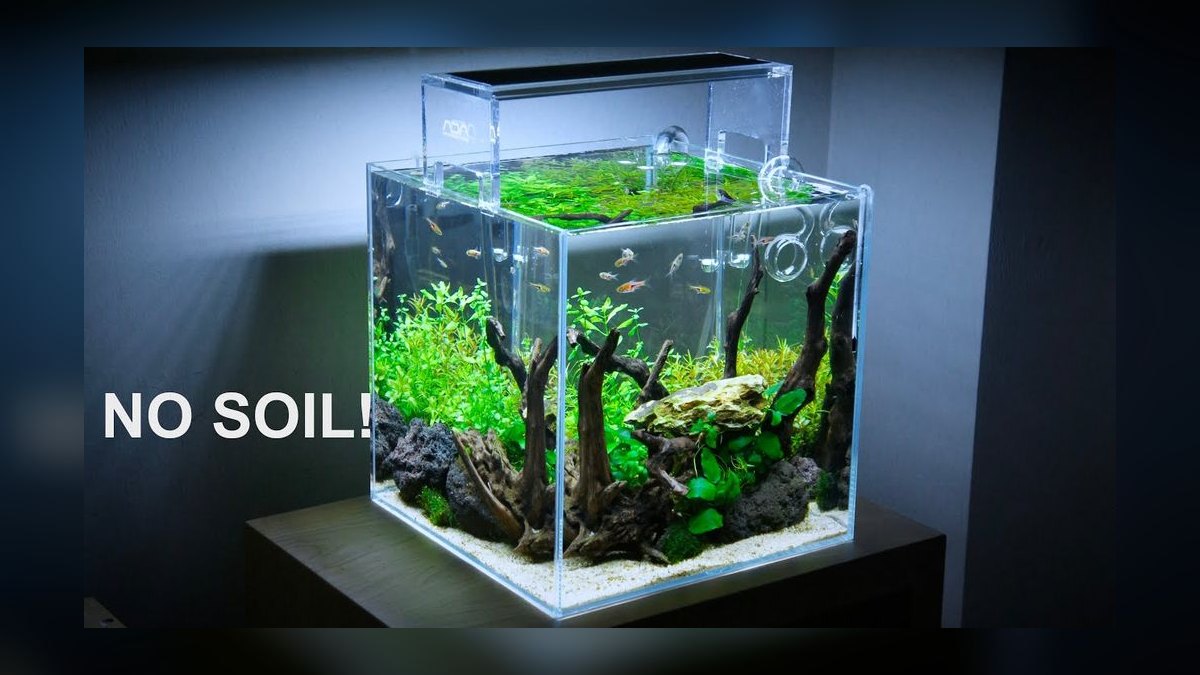 Top 10 nature aquarium styles 2027 — figure 7