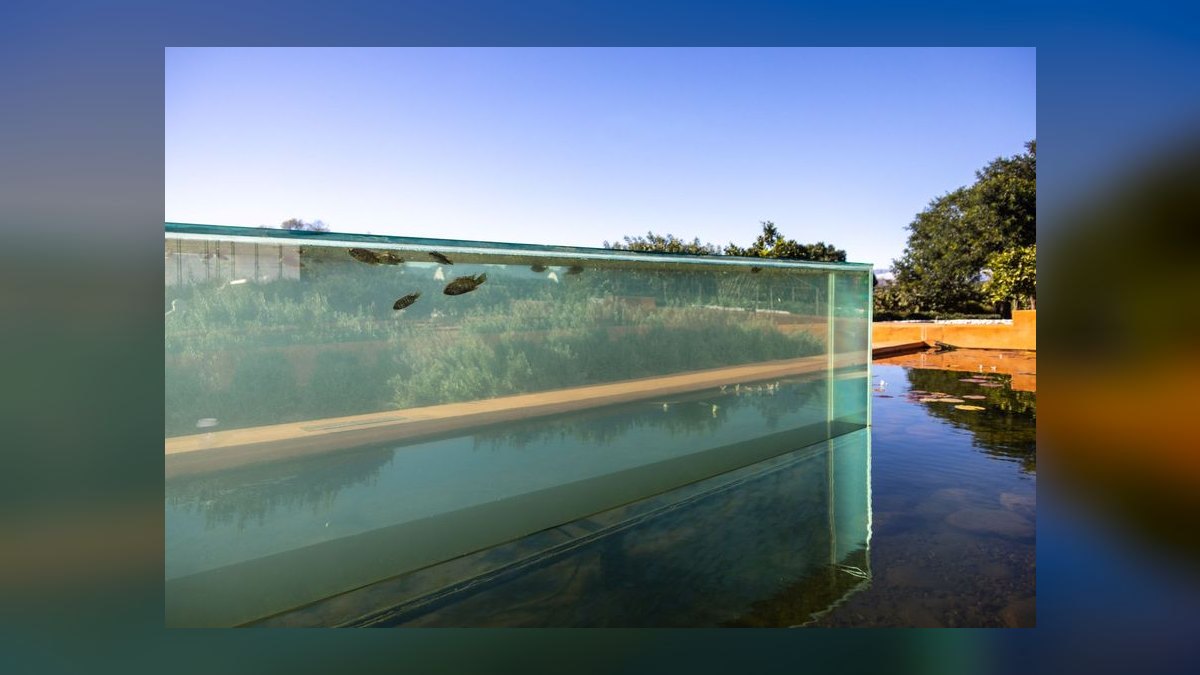 Top 10 biotope tank ideas 2027 — figure 1