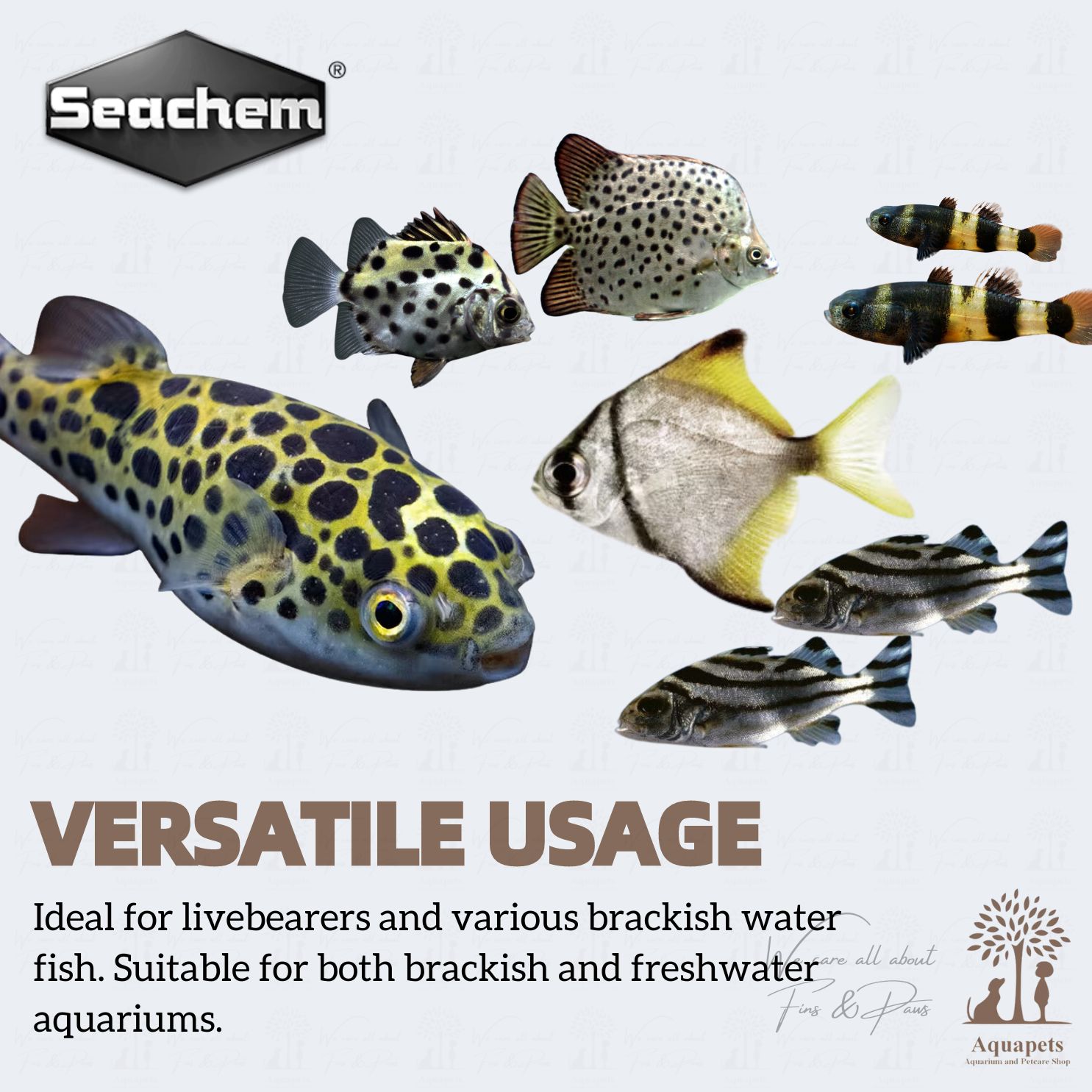 Top 10 brackish water fish 2027 — figure 7