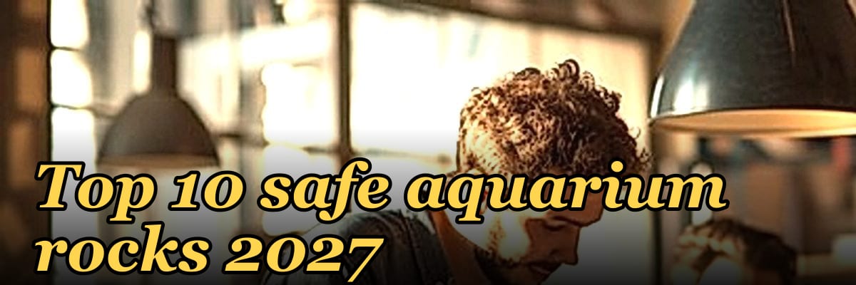 Top 10 safe aquarium rocks 2027