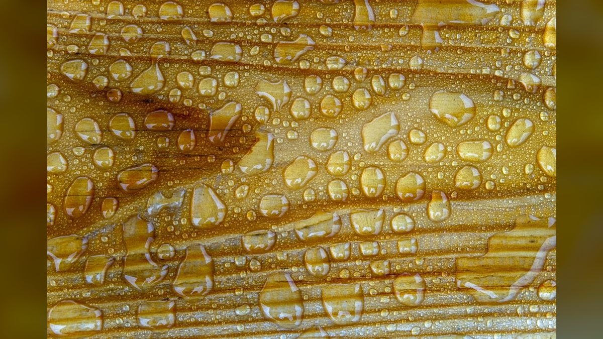 Top 10 wood soaking methods 2027 — figure 4