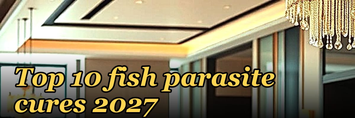 Top 10 fish parasite cures 2027