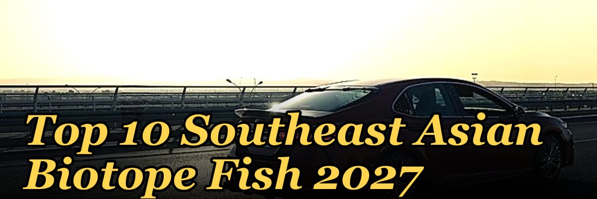 Top 10 Southeast Asian Biotope Fish 2027