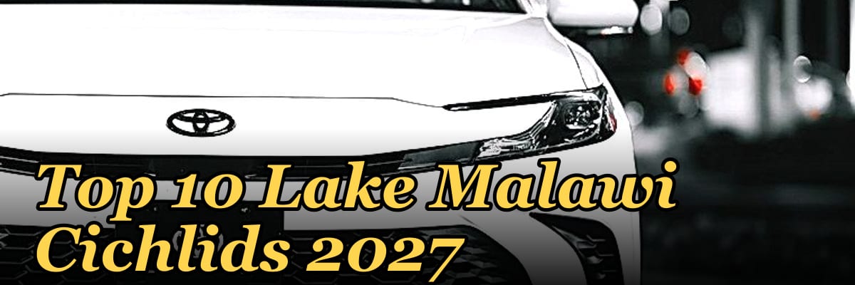 Top 10 Lake Malawi Cichlids 2027