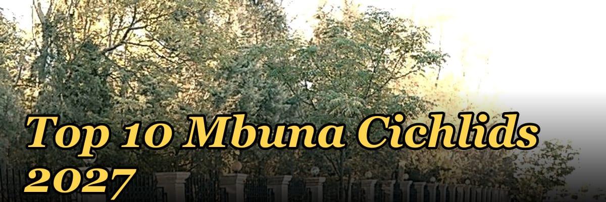 Top 10 Mbuna Cichlids 2027