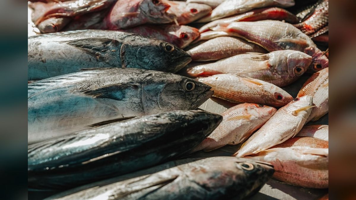Top 10 Platy Fish Varieties 2027 — figure 6
