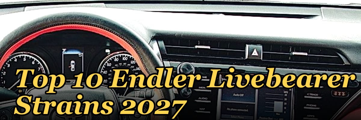 Top 10 Endler Livebearer Strains 2027
