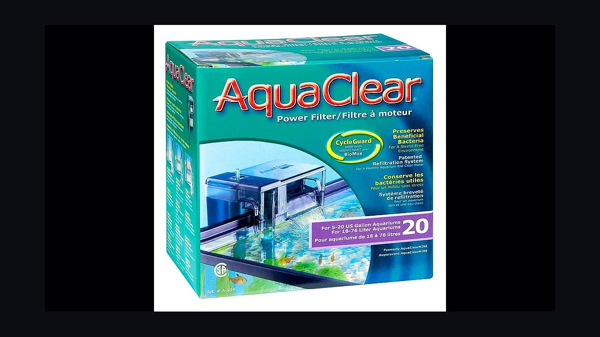 Top 10 White Cloud Mountain Minnows 2027 — figure 2