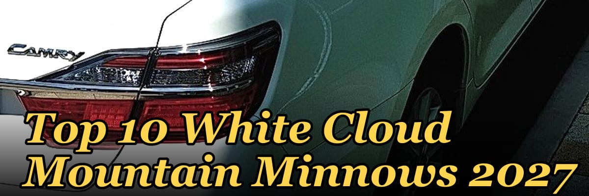 Top 10 White Cloud Mountain Minnows 2027