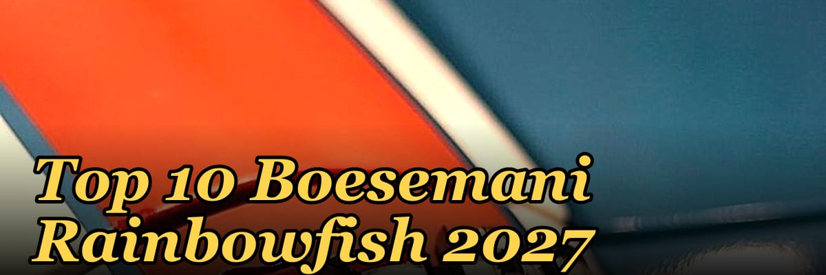 Top 10 Boesemani Rainbowfish 2027