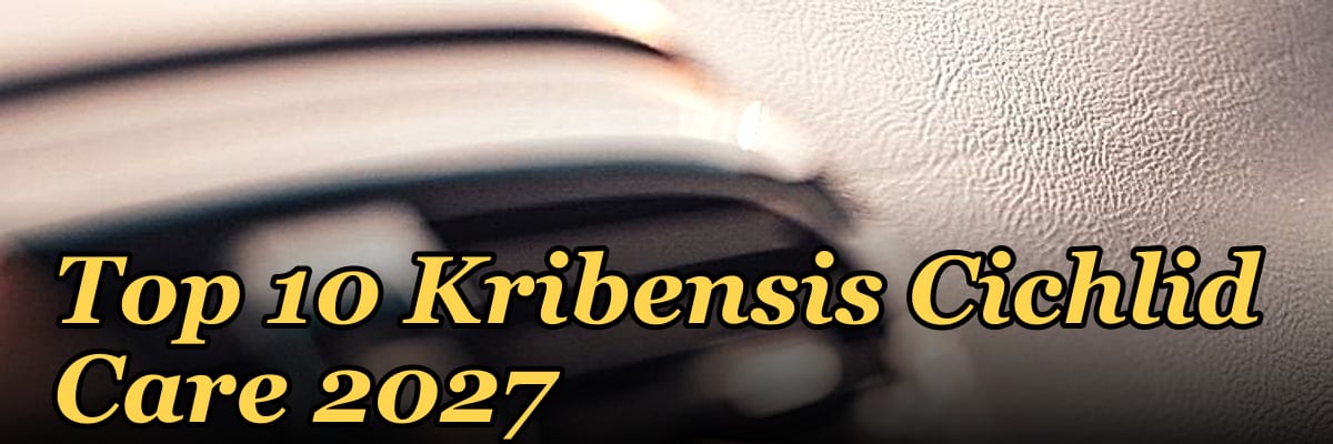 Top 10 Kribensis Cichlid Care 2027