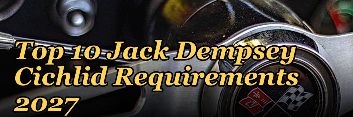 Top 10 Jack Dempsey Cichlid Requirements 2027