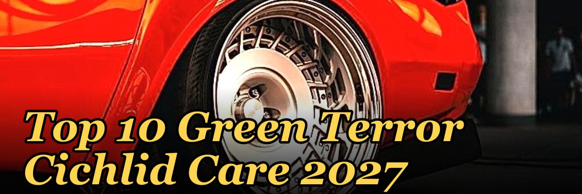 Top 10 Green Terror Cichlid Care 2027