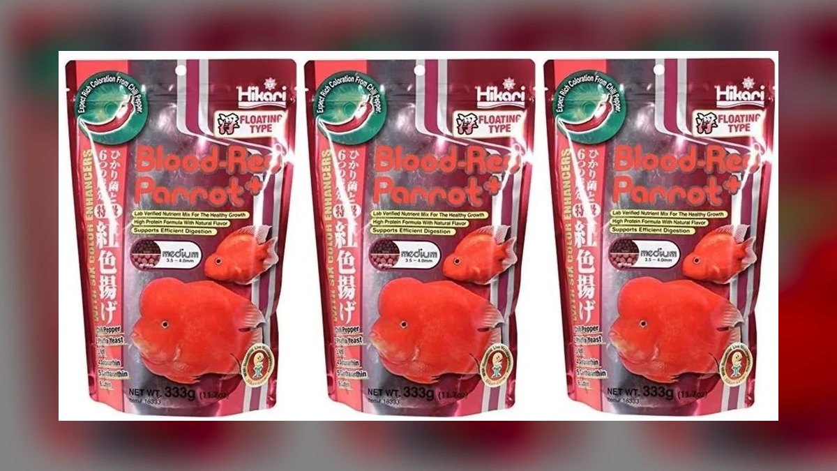 Top 10 Blood Parrot Cichlid Care 2027 — figure 8