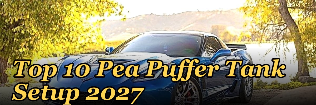 Top 10 Pea Puffer Tank Setup 2027