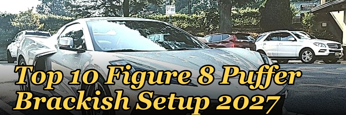 Top 10 Figure 8 Puffer Brackish Setup 2027