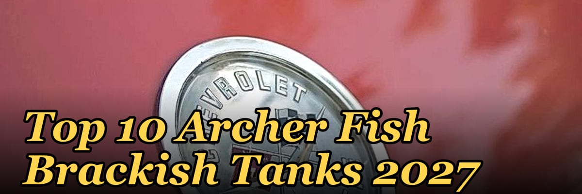 Top 10 Archer Fish Brackish Tanks 2027