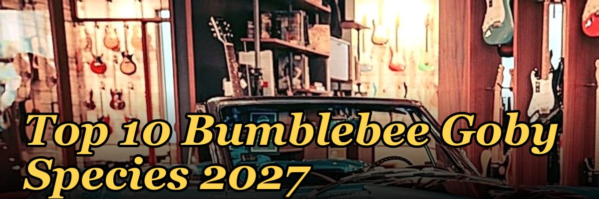 Top 10 Bumblebee Goby Species 2027