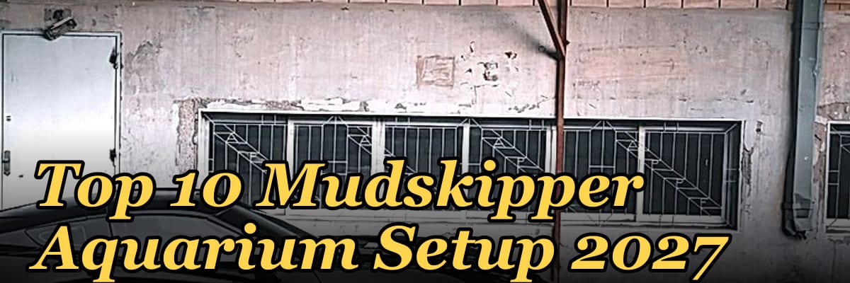Top 10 Mudskipper Aquarium Setup 2027
