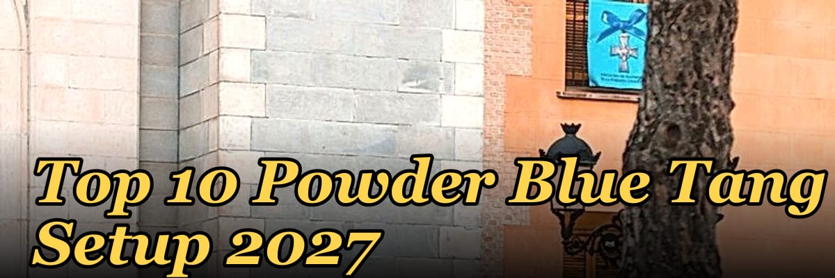 Top 10 Powder Blue Tang Setup 2027