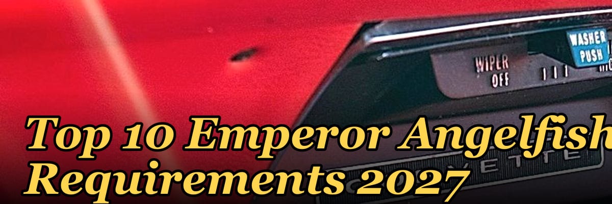 Top 10 Emperor Angelfish Requirements 2027