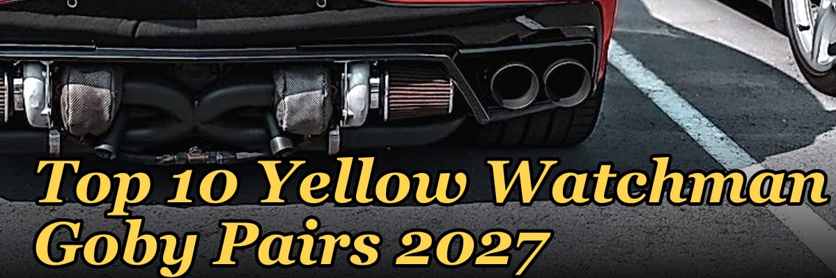 Top 10 Yellow Watchman Goby Pairs 2027