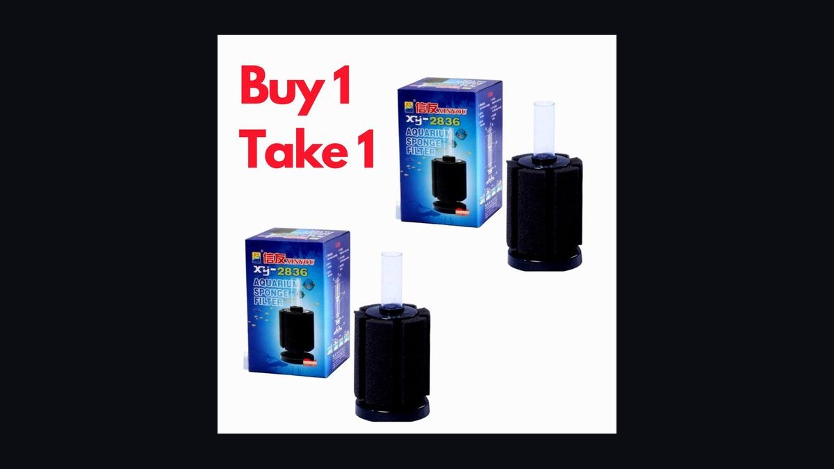 Top 10 Lawnmower Blenny Algae Control 2027 — figure 7