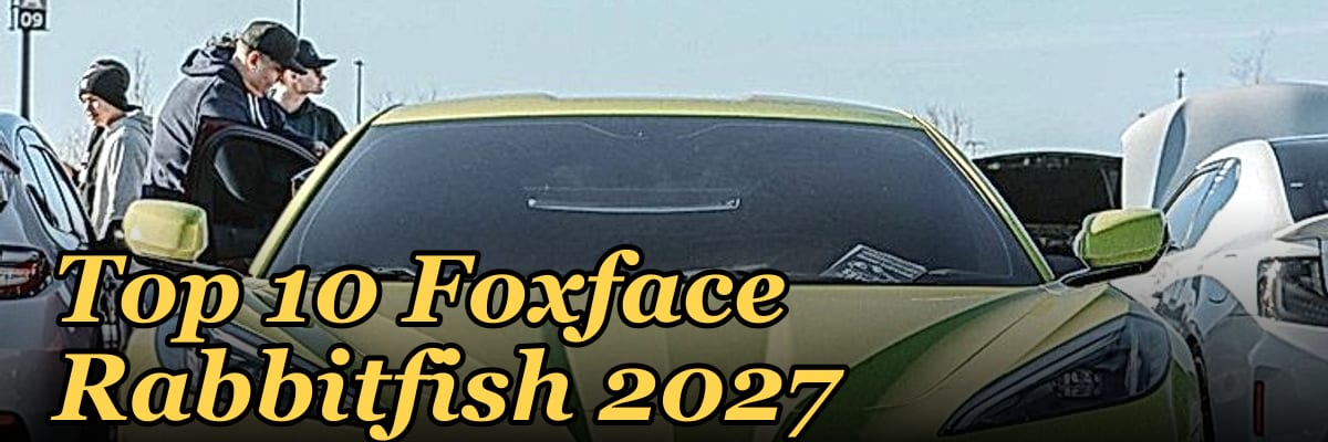 Top 10 Foxface Rabbitfish 2027