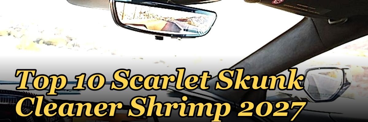 Top 10 Scarlet Skunk Cleaner Shrimp 2027