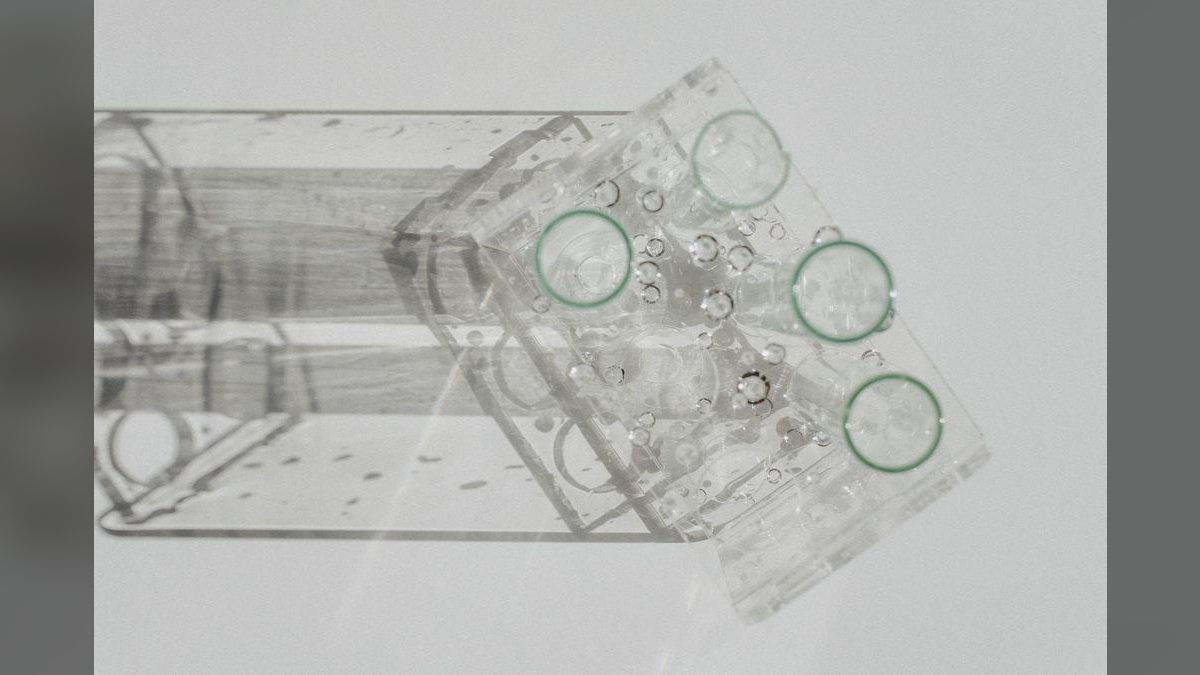 Top 10 Chaetomorpha Refugium Setup 2027 — figure 1