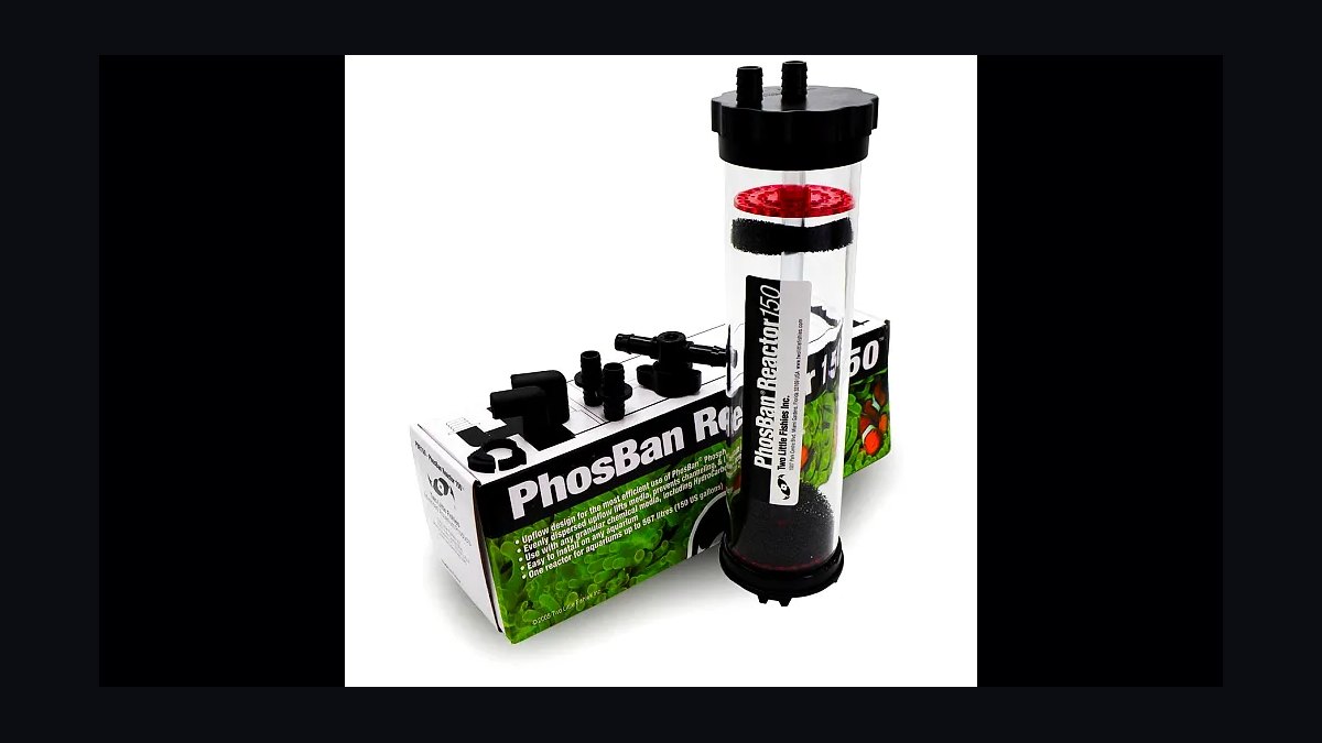 Top 10 Chaetomorpha Refugium Setup 2027 — figure 10
