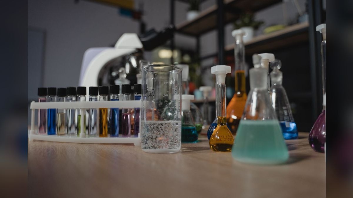 Top 10 Chaetomorpha Refugium Setup 2027 — figure 4