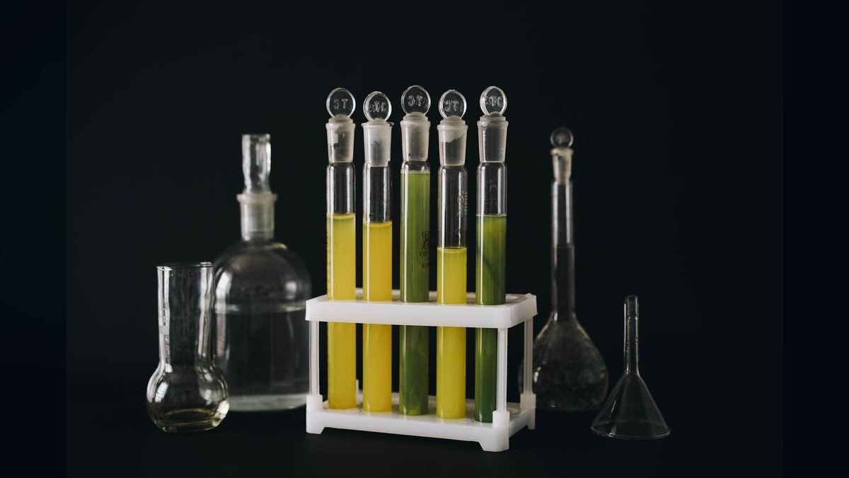 Top 10 Chaetomorpha Refugium Setup 2027 — figure 5