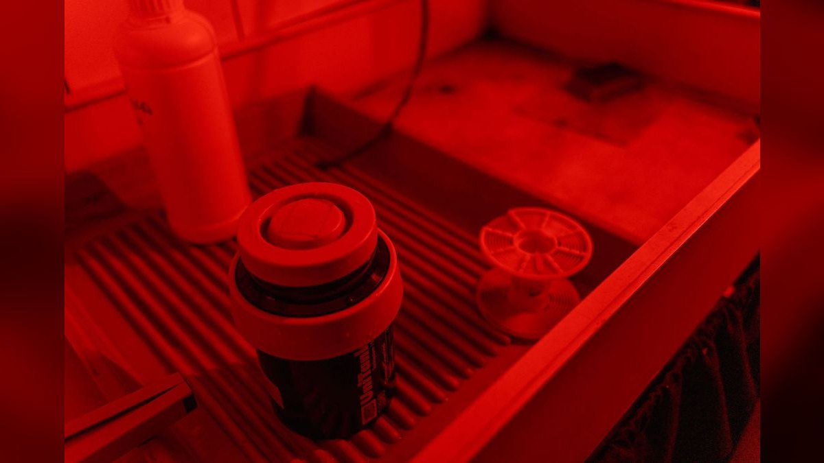 Top 10 Chaetomorpha Refugium Setup 2027