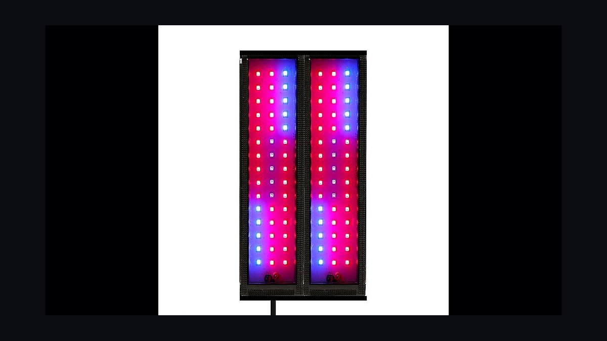 Top 10 Chaetomorpha Refugium Setup 2027