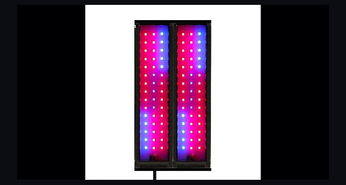 Top 10 Chaetomorpha Refugium Setup 2027