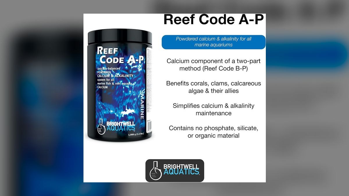 Top 10 Live Sand for Reef Tanks 2027 — figure 9