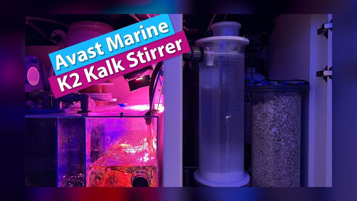 Top 10 Kalkwasser Dosing Systems 2027 — figure 1