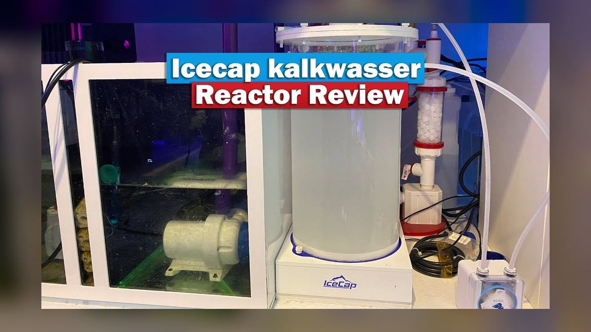 Top 10 Kalkwasser Dosing Systems 2027 — figure 10