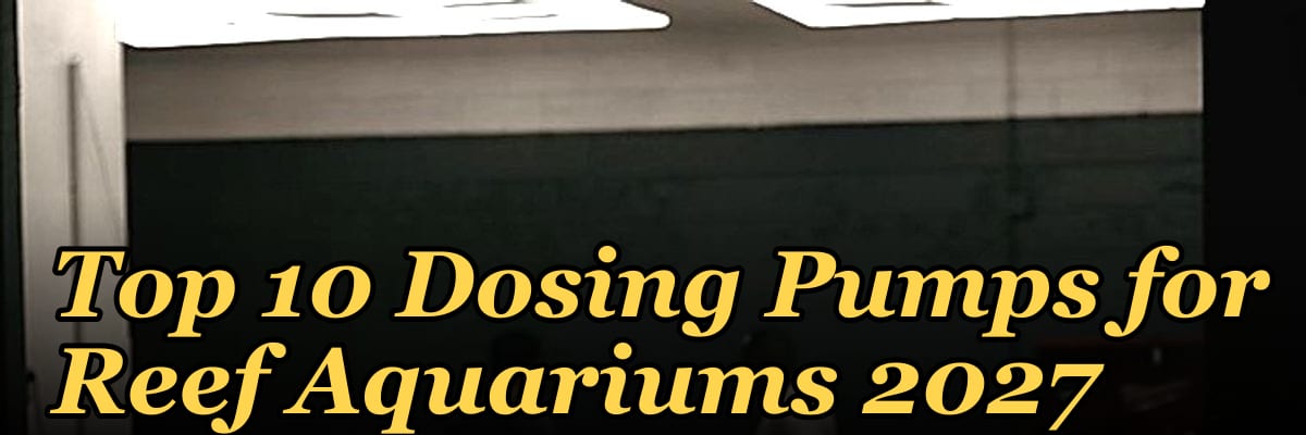 Top 10 Dosing Pumps for Reef Aquariums 2027