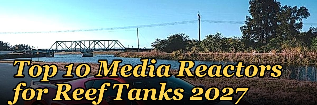 Top 10 Media Reactors for Reef Tanks 2027