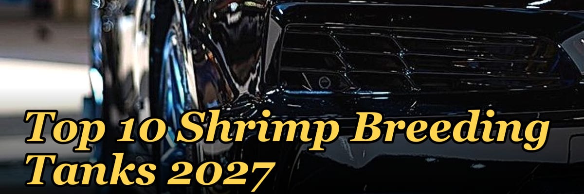 Top 10 Shrimp Breeding Tanks 2027