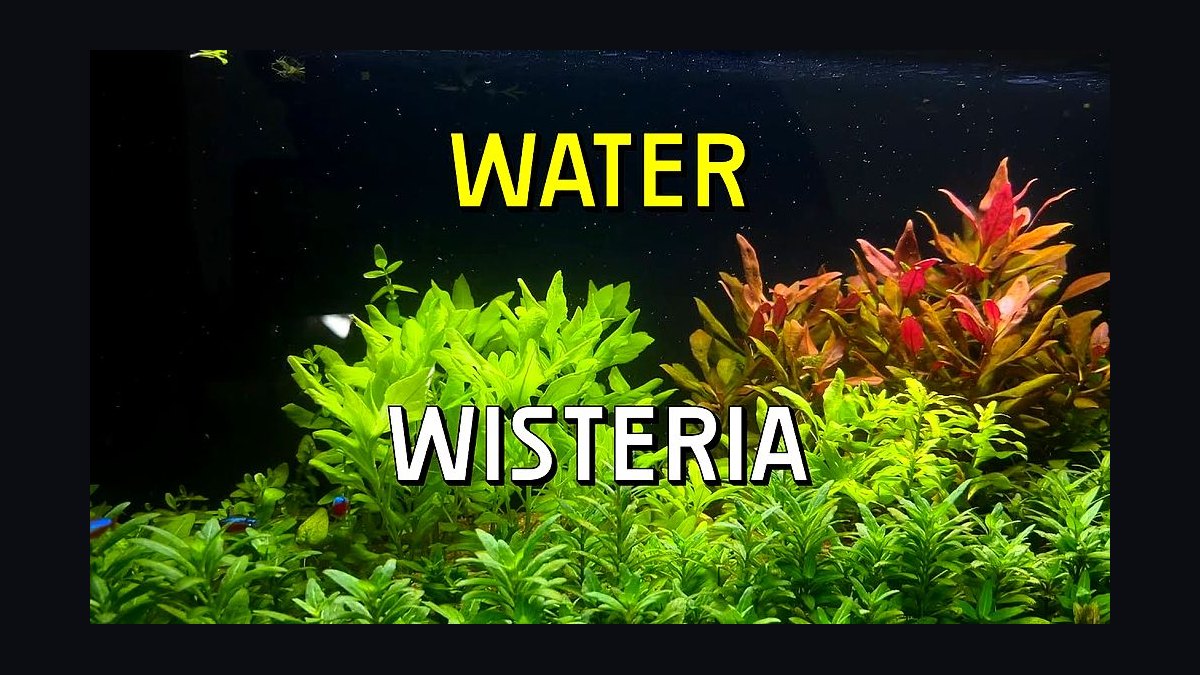 Top 10 Planted Tank CO2 Diffusers 2027 — figure 7