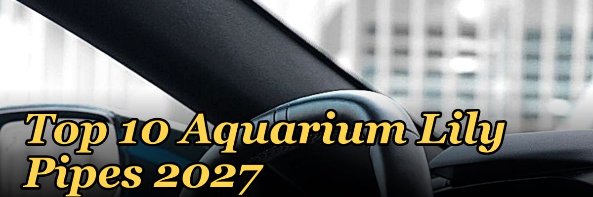 Top 10 Aquarium Lily Pipes 2027