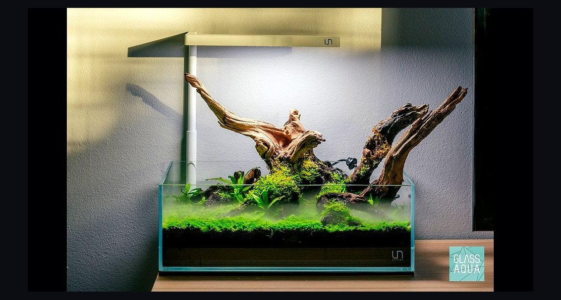 Top 10 Low Iron Rimless Tanks 2027
