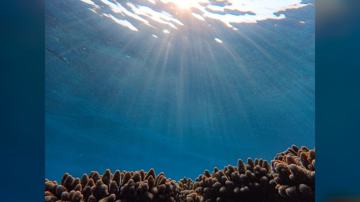 Top 10 Kessil Reef Lights 2027 — figure 2