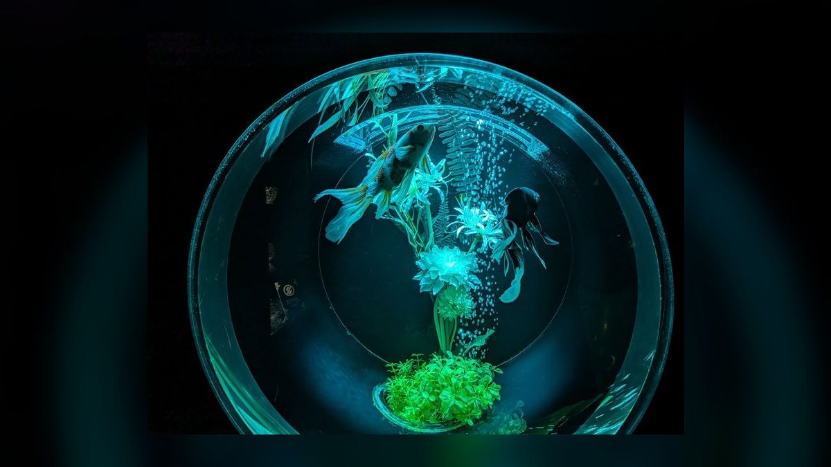 Top 10 Zoo Med Aquatic Products 2027 — figure 7