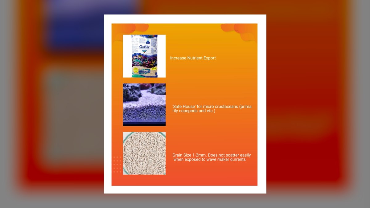 Top 10 CaribSea Substrates 2027 — figure 9