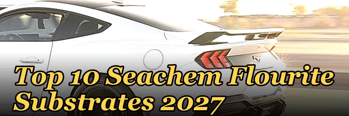 Top 10 Seachem Flourite Substrates 2027